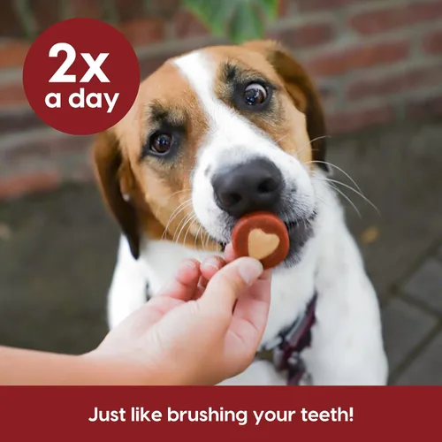 Vista 7 de ARK NATURALS Soft Shield Protection+ Pasta de dientes sin escobillas, masticables dentales para perros para razas grandes, detiene la placa