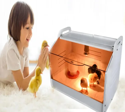 Vista 4 de Caja inteligente para cría 10-15 recién nacidos, pollitos, codorniz, pájaros, animales pequeños, incubadoras manuales, calentador de aves de corral