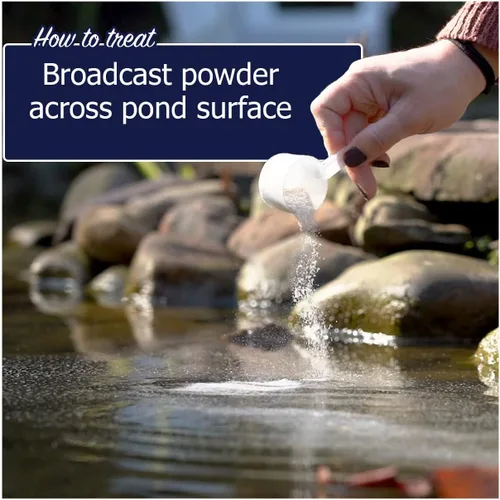 Vista 5 de WinterKleen - Bacterias de otoño e invierno para estanques Koi Pond Winterizer, digestor de hojas, limpiador natural - Potentes enzimas