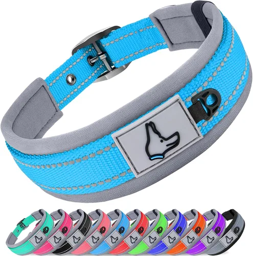 Vista 12 de Joytale Collar para perros pequeños, de neopreno acolchado y ajustable, collares para mascotas reflectantes, anchos y resistentes, con hebilla