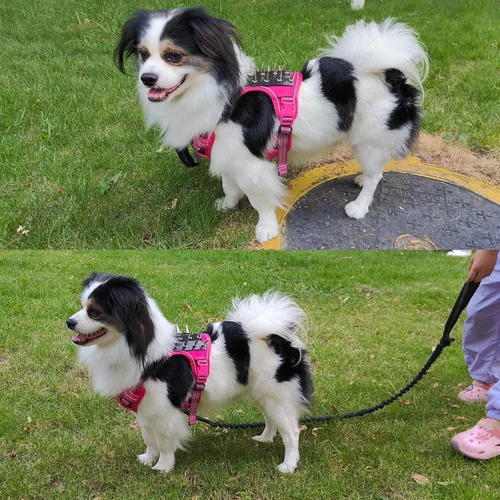Vista 8 de Arnés táctico para perro, chaleco reflectante sin tirones, chaleco táctico para perro de trabajo, chaleco de servicio para perro, chaleco