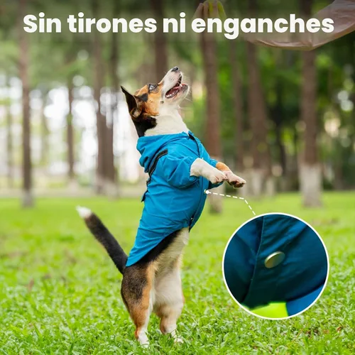 Vista 8 de JoyDaog Impermeable para perros con capucha, chaqueta impermeable para Azul