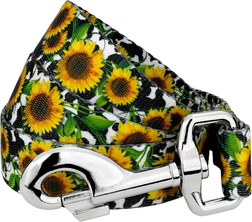 Vista 14 de Country Brook Design® Correa para perro Native Arizona de 1 pulgada - 6 pies Arizona nativa