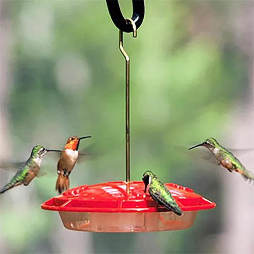 Vista 5 de Aspects 367 Hummzinger Ultra - Comedero para colibríes, 12 onzas (paquete de 2)