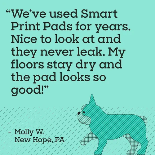 Vista 8 de Pet Life Unlimited Smart Prints - Almohadillas grandes para cachorros, 22 x 22 pulgadas, 42 unidades (L) Elegantes almohadillas de entrenamiento