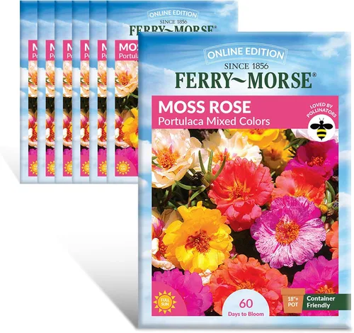Vista 19 de Ferry-Morse Edición Online Bean Blue Lake Bush 274 Semillas Orgánicas Multipack – Paquete de 8
