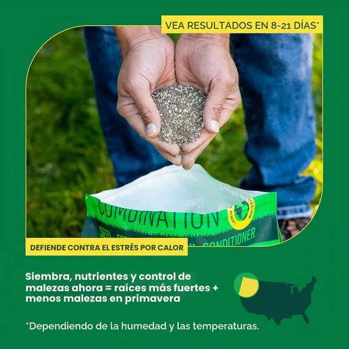 Vista 5 de Semillas y fertilizantes de hierba Sunday Northwest con festuca alta, sol