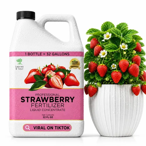 Vista 10 de Leaves & Soul Evergreen Tree Fertilizer, 6-4-6 Liquid Evergreen Food 8 oz Árbol de hoja perenne