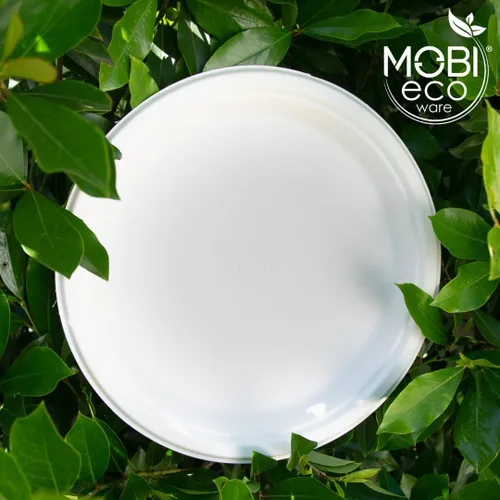 Vista 7 de Platos de papel, 100 % compostables, 10 pulgadas por 0.5 pulgadas de profundidad, plato desechable resistente, certificado (BPI), sin (PFAS)