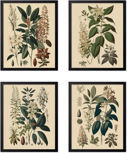 Vista 69 de Poster Master Póster botánico vintage de 3 piezas, estampado floral retro, regalo para artistas, amigos, flores de acuarela, brillante, azul
