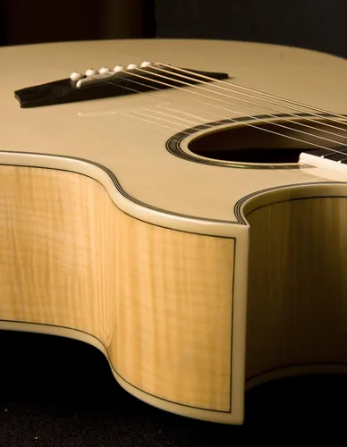 Vista 4 de Washburn Guitarra eléctrica acústica Festival EA20 (EA20-A)