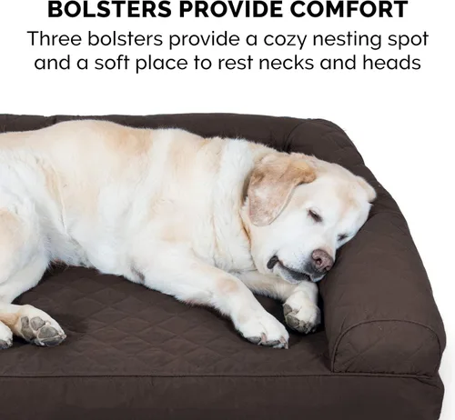Vista 10 de FurHaven - Cama de espuma ortopédica suave para perros, estilo sofá, con funda extraíble y lavable, acolchada, color café, para perros de hasta 35
