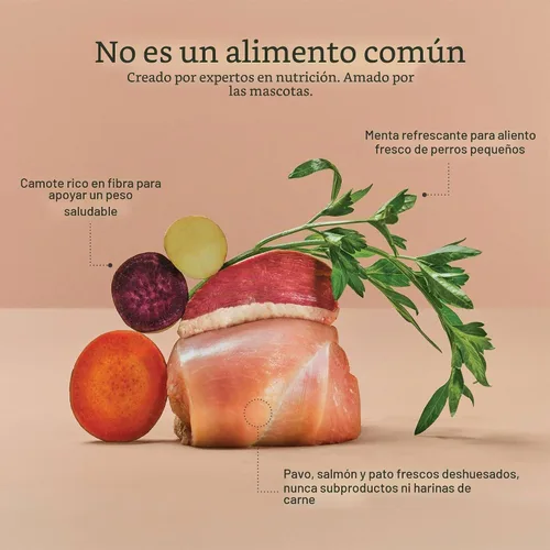 Vista 4 de Now Fresh Alimento seco para perros adultos de raza pequeña, pavo, salmón