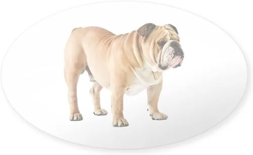 Vista 2 de CafePress Etiqueta engomada ovalada del parachoques del bulldog inglés, calcomanía del coche oval euro Blanco