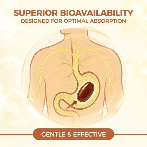 Vista 4 de LIRAE Cápsulas blandas de canela de Ceilán con aceite MCT, extracto de hierbas altamente biodisponible, sin OMG, sin gluten, 300 cápsulas blandas (1)