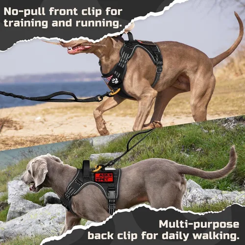 Vista 5 de rabbitgoo Arnés táctico para perros pequeños, chaleco de servicio militar sin tirones con asa y Molle, de fácil control para entrenar y caminar