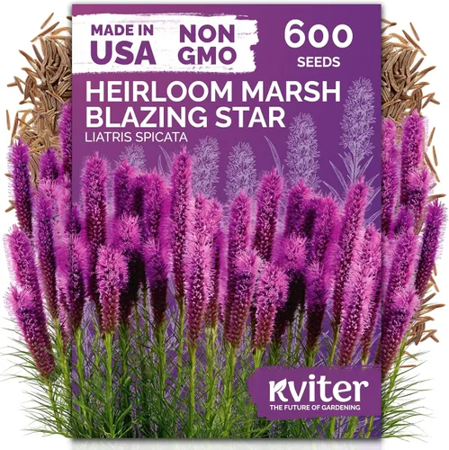 Vista 52 de KVITER 15,000 semillas de rosa musgo mixta para plantar (Portulaca grandiflora) – Cubierta de suelo con floración de reliquia, semilla de Portulaca