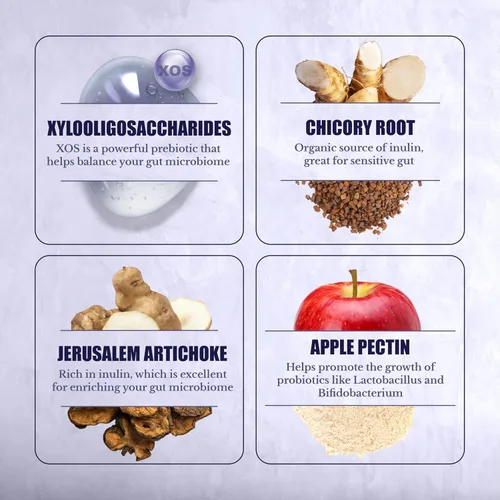 Vista 5 de Suplemento de prebióticos para la salud intestinal y la digestión, fibra prebiótica con XOS, inulina, raíz de achicoria, alcachofa de Jerusalén