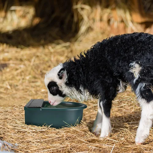 Vista 5 de GOTOTOP Dispensador automático de agua para mascotas, 4L de gran capacidad para gatos, cabras, caballos