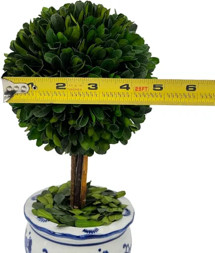 Vista 4 de Galt International Árbol topiario de bola de boj preservado naturalmente en maceta redonda de cerámica pintada a mano azul y blanca – Decoración