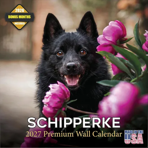 Vista 124 de Calendario de Lebrel Afgano 2025 2026, calendario mensual de pared de raza canina, 12" x 18" abierto, papel grueso sin traspaso, ideal para regalo