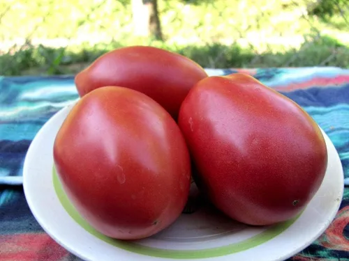 Vista 2 de Semillas de tomate negro De-Barao Determinar vegetales no transgénicos para plantar