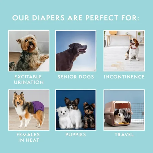 Vista 5 de Simple Solution Pañal lavable para perro hembra, mediano, 1 paquete Dog in Heat, Potty Training, Incontinence Support, Leak Protection, Reusable
