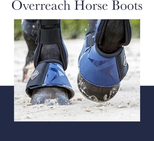 Vista 4 de Le Mieux ProShell sobre Alcance botas