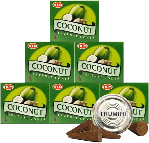 Vista 17 de TRUMIRI Paquete de soporte para cono de incienso con dobladillo de aloe vera - Paquete de 6 (aproximadamente 60 conos)