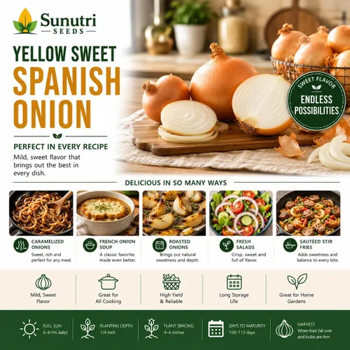 Vista 8 de Semillas de cebolla española dulce amarilla para plantar – Variedad de cebolla bulbante de día largo – Cebollas dulces suaves grandes para jardines