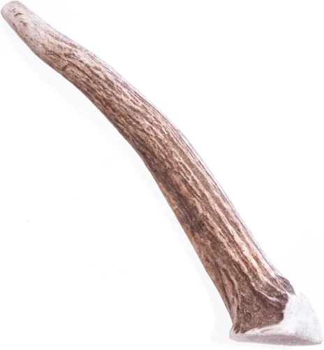 Vista 6 de Big Sky Antler Chew Split, pequeño 1ct