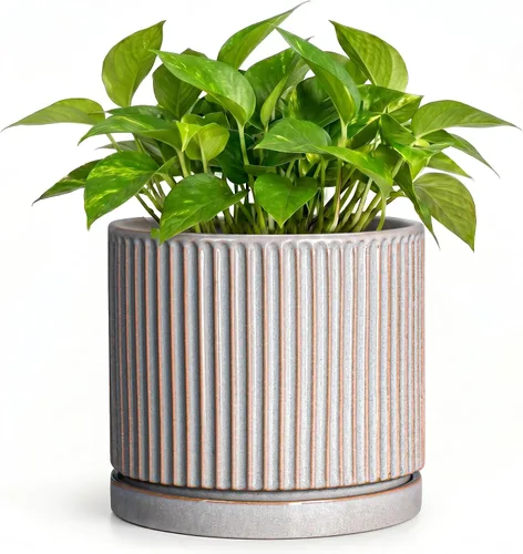 Vista 63 de 8 Inch Flower Pot, Ceramic Planters, Round Plant Pot, Beige