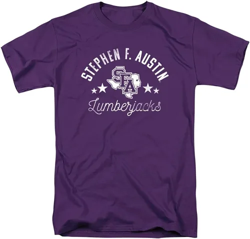 Vista 23 de Collegiate Distressed Mascot Unisex Adult T Shirt Collection 3 Universidad de Adelphi