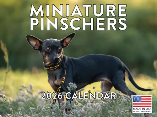 Vista 223 de Calendario mensual de pared Airedale Terrier Dog 2027 rojo (Airedale Terrier)