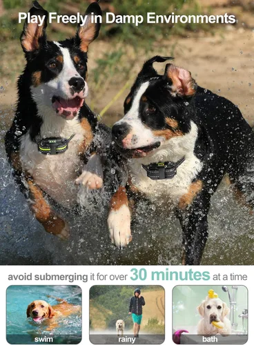 Vista 6 de FunniPets Collar de choque para perro, paquete de 2 – Collar de entrenamiento para perros con control remoto IP65 impermeable E Collar para perros