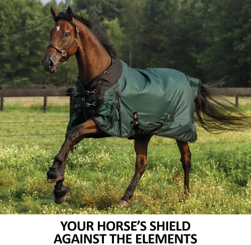 Vista 2 de STORM SHIELD Extreme II - Manta de caballo con cuello de contorno 1680 Denier Surcingle Mantas de caballo para invierno impermeables Manta