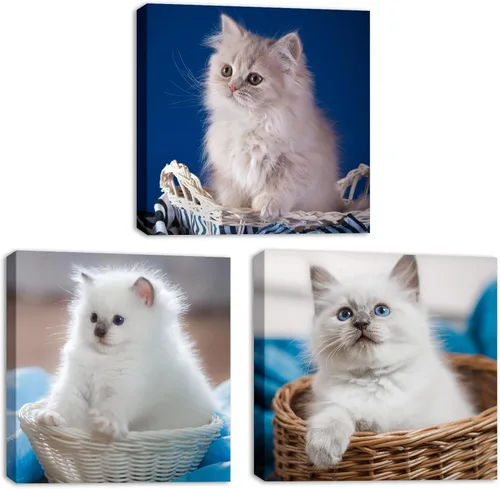 Vista 15 de Jiuqinghua Impresiones en lienzo personalizadas con fotos sobre lienzo, transforma tus fotos en impresionantes, arte de pared enmarcado