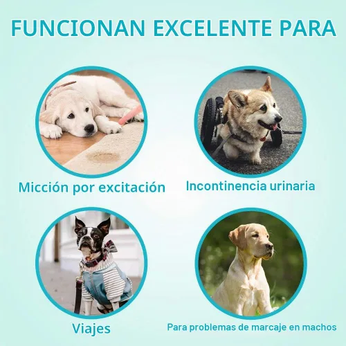 Vista 5 de Pañales absorbentes para el vientre para perros machos