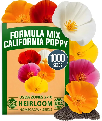 Vista 138 de HOME GROWN Bachelor Button Tall Mix 700+ Semillas de flores Centaurea