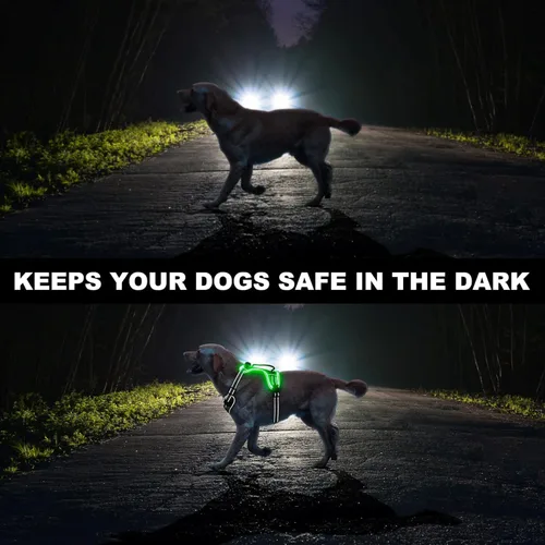 Vista 2 de Arnés para perro con luz LED para caminar de forma segura por la noche, chaleco de malla suave que brilla en la oscuridad, chaleco para perros