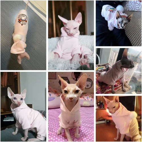 Vista 6 de Ropa para gatos sin pelo, camisa con capucha de algodón, transpirable, otoño e invierno, ropa cálida para gato, suéter chaleco para Sphynx, Cornish