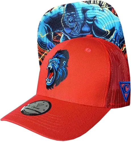 Vista 105 de Capiche - Gorra de visera plana de serie especial, talla única, unisex, hombre, más de 99 diseños
