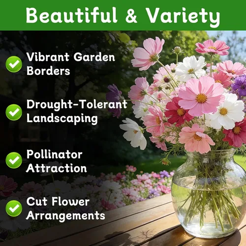 Vista 2 de LUOJIBIE Cosmos Seeds, más de 4,500 semillas de flores cosmos para 2026, semillas de flores silvestres para plantar jardín al aire libre, mezcla