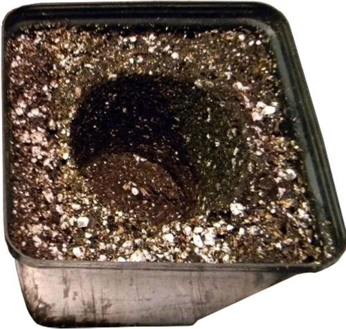 Vista 5 de SunGro SUGRBG2 - Bolsa de tierra para macetas natural y orgánica de oro negro, más fertilizante, 2 pies cúbicos (paquete de 3)