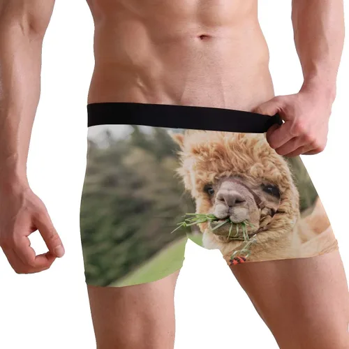 Vista 5 de ZZKKO Skull Llama - Calzoncillos tipo bóxer para hombre, transpirables, elásticos, con bolsa, tallas S-XXL