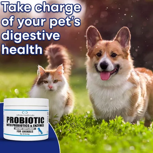 Vista 4 de Probióticos para perros y gatos – Formulado por veterinarios, fabricado en Estados Unidos, prebiótico y enzimático para mascotas en polvo