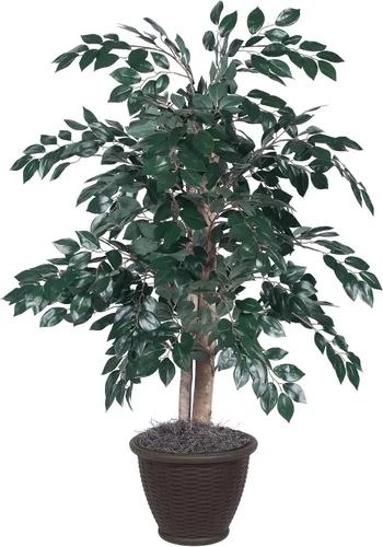 Vista 7 de Vickerman TBU0740 Arbusto Sakaki todos los días, verde oscuro, 4 pies
