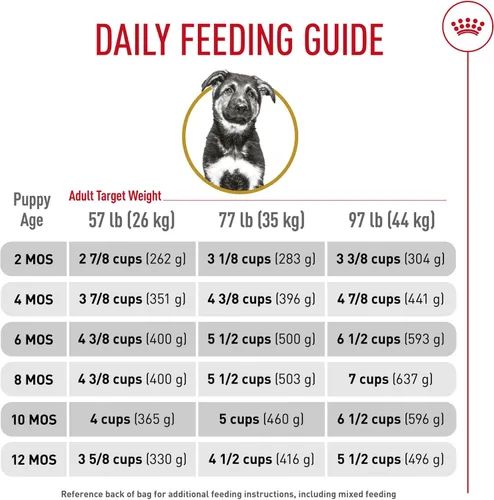 Vista 10 de Royal Canin Breed Health Nutrition - Alimento seco para perros pastor alemán, 2.5 libras