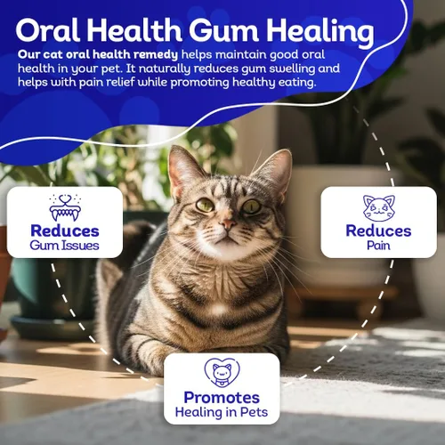 Vista 5 de HA4E - Salud oral para gatos - Alivia la inflamación, alivia el dolor y combate las enfermedades de las encías, natural, sin OMG, orgánico, sin
