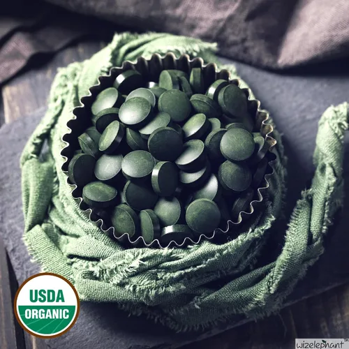 Vista 7 de Tabletas orgánicas de espirulina clorella – 50 porciones – Suplemento de algas superalimento 2 en 1 para apoyo inmunológico natural, desintoxicación